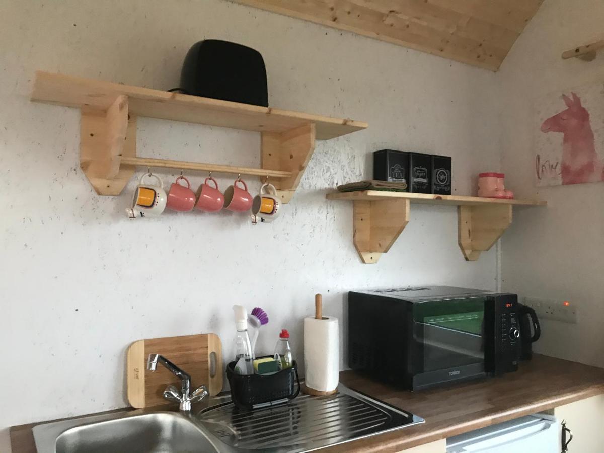 The Beautiful Lazy Llama Shepherd Hut Farm Stay Ballyshannon Ngoại thất bức ảnh