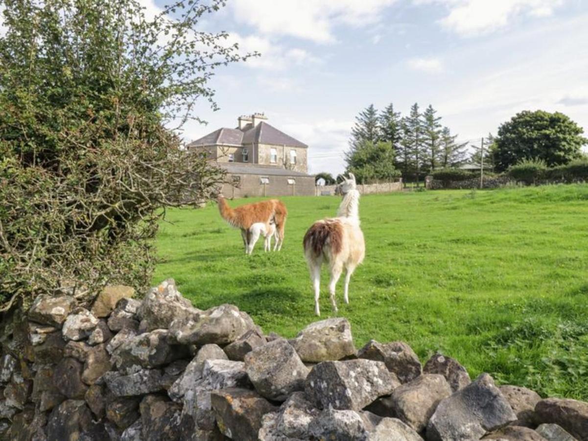 The Beautiful Lazy Llama Shepherd Hut Farm Stay Ballyshannon Ngoại thất bức ảnh
