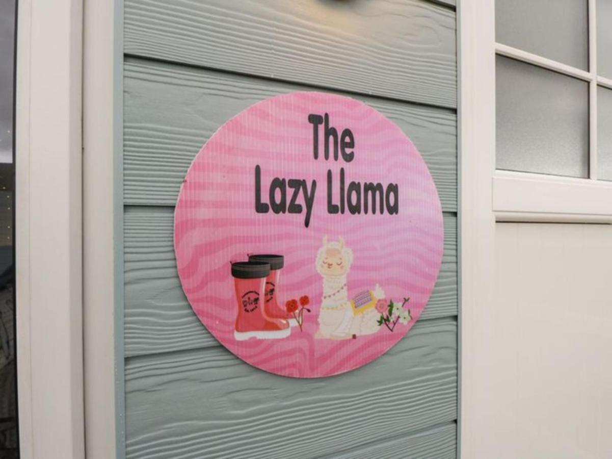 The Beautiful Lazy Llama Shepherd Hut Farm Stay Ballyshannon Ngoại thất bức ảnh
