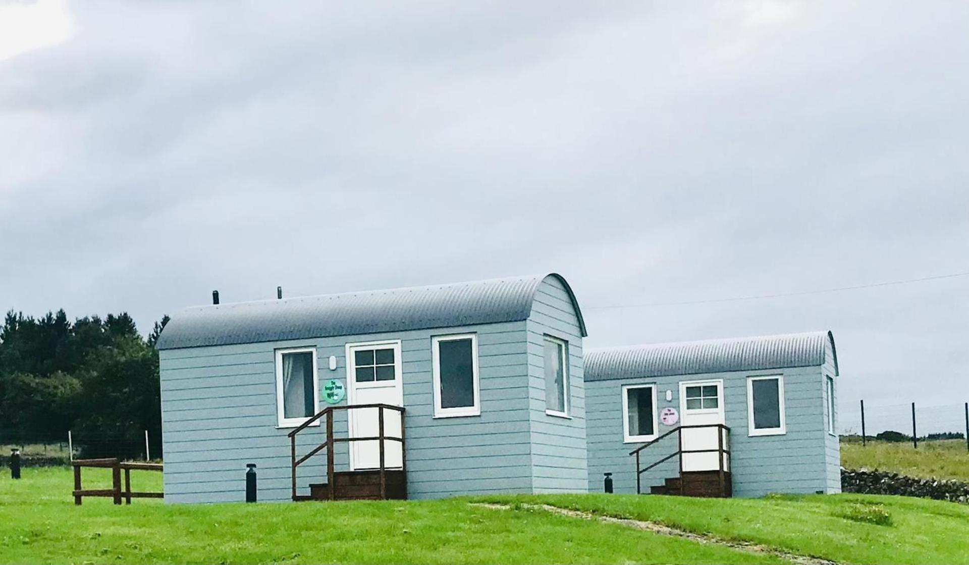 The Beautiful Lazy Llama Shepherd Hut Farm Stay Ballyshannon Ngoại thất bức ảnh